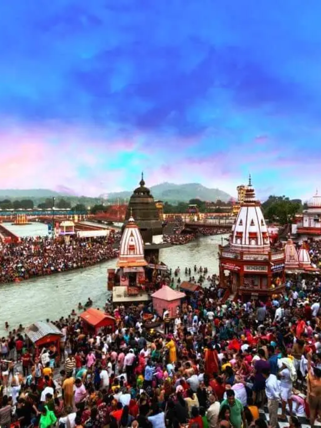 How many types of Aquarius?